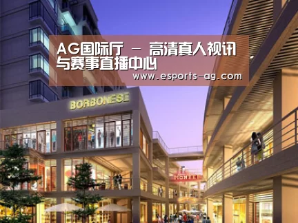 案例展示一(图1)
