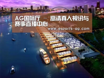 案例展示八