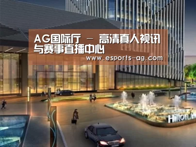 案例展示二