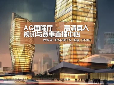 案例展示三
