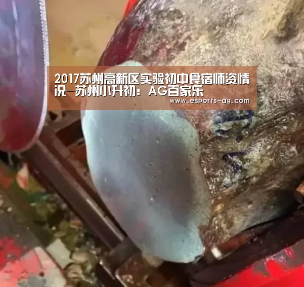 2017苏州高新区实验初中食宿师资情况-苏州小升初:AG百家乐(图2) AG官方