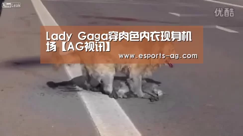 Lady Gaga穿肉色内衣现身机场【AG视讯】(图2) AG视讯
